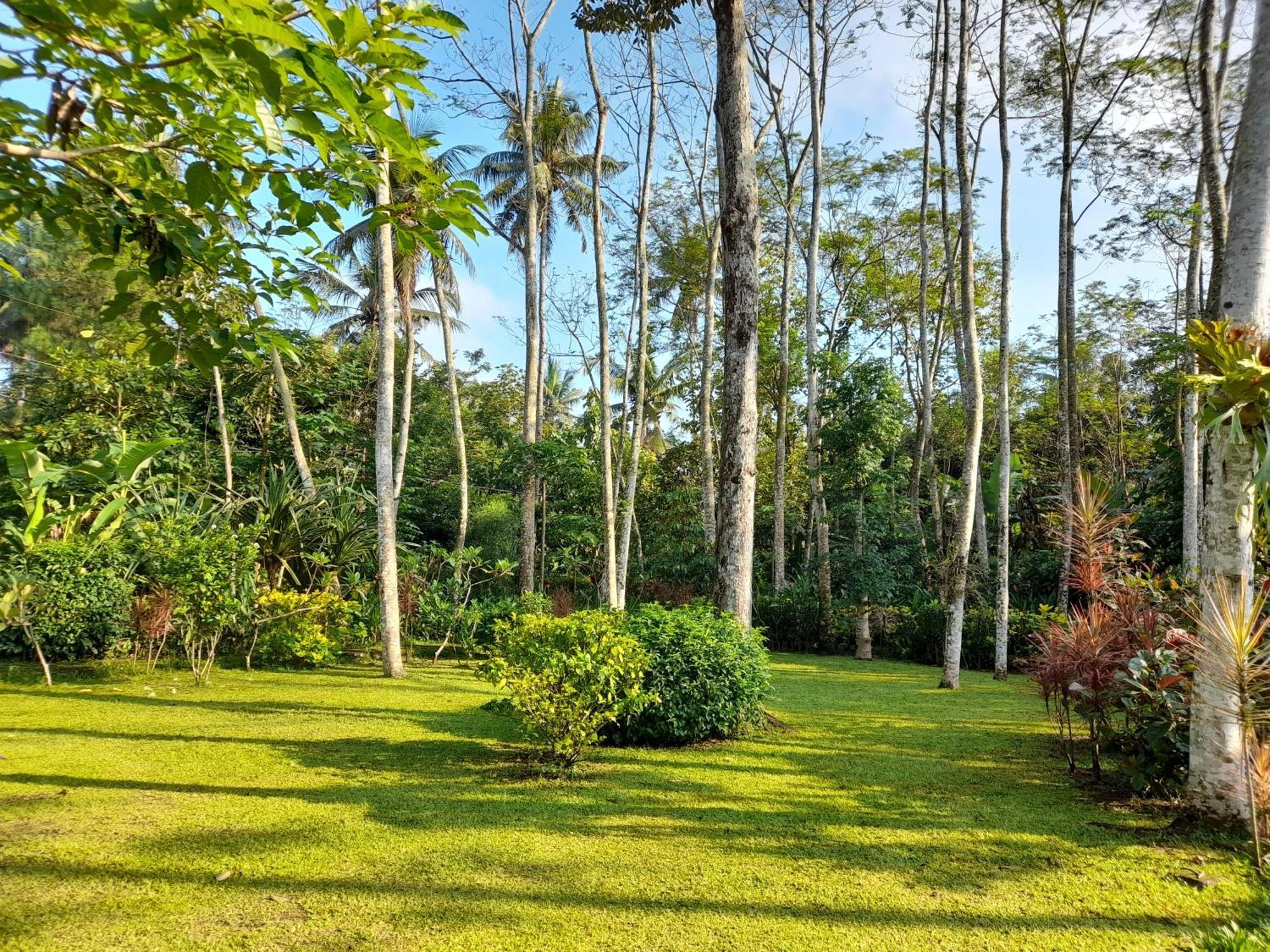 Ndalem Nitihardjan Hotell Magelang Exteriör bild